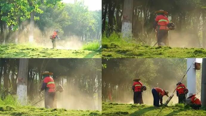 春季物業綠化養護會有哪些知識